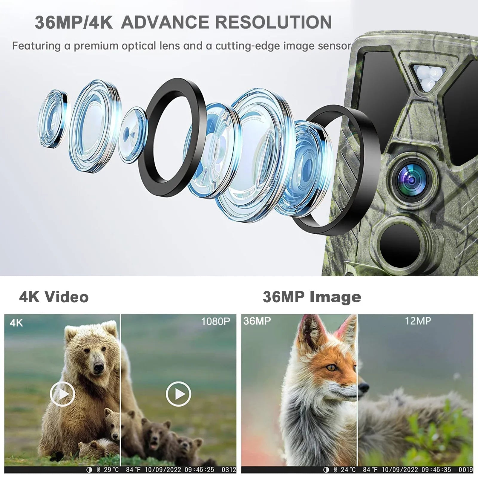 Card Night Hunting TF Trail with IR LED 36MP Hunting Wildlife Wildgame 4K Monitors 32GB HC-812A Trail Vision Camera SuntekCam Trail with Monitor Waterproof Camera