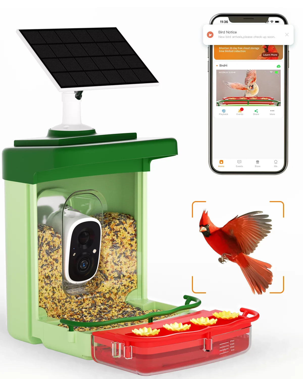 Camera, 2 1 Bird in Ideal Anyone Auto HD Feeder Camera for 3MP Feeders Camera, of Close-Ups Gift with Species, Identify Hummingbird Capture Birds Unique AI with with Bird