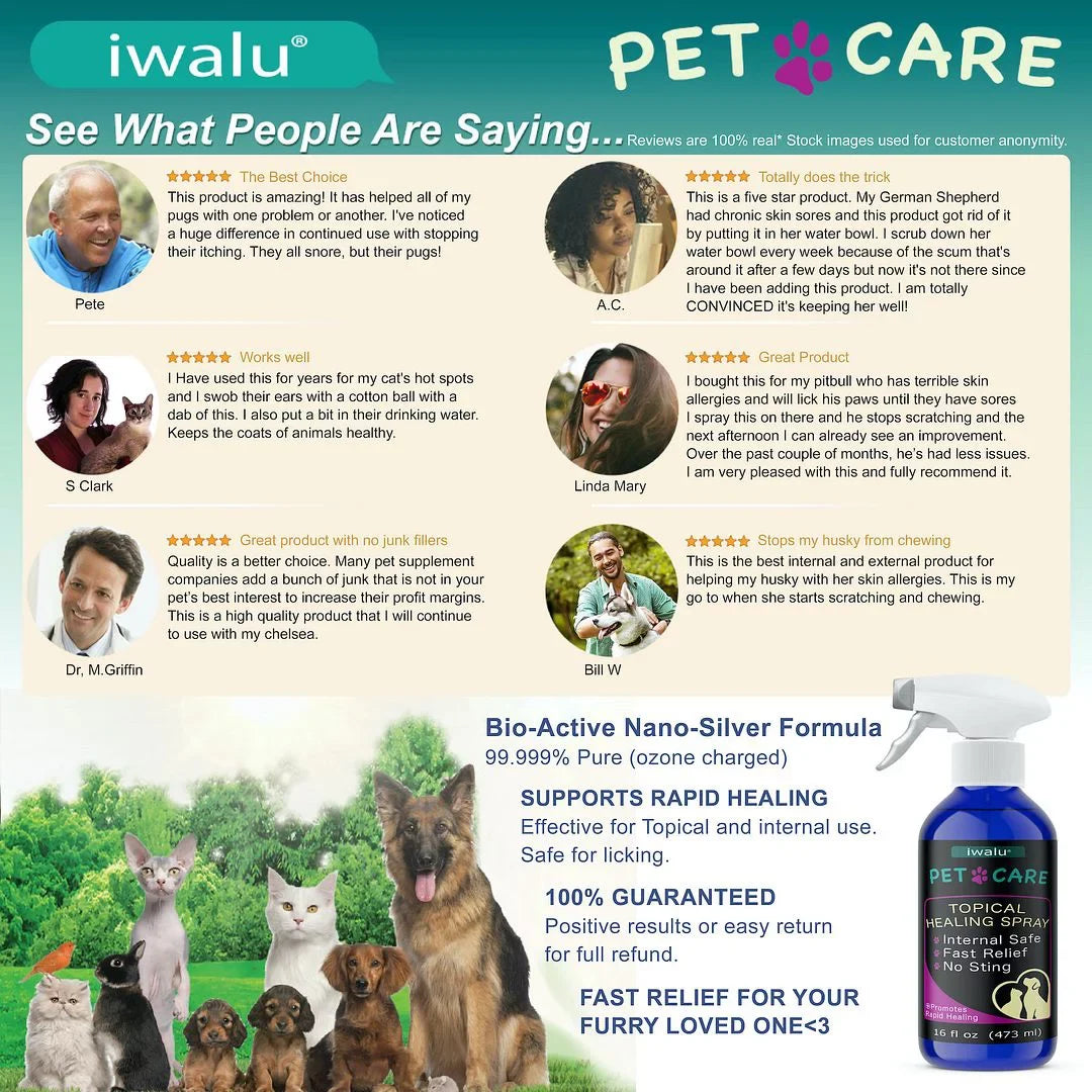 Itchy Relief Spray Anti Relief For And Spot Itch Anti Pet Wound Skin Skin Best Dog Hot Dry Soother Moisturizer Skin Coat Dog Cat Treatment Supplement Allergy Care For Paw Dog Cleaner (16oz) Medication