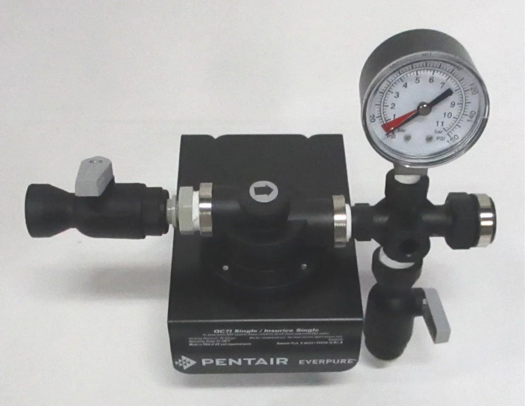 Single Head Everpure Filter Assembly,3/8",FNPT EV927241-75