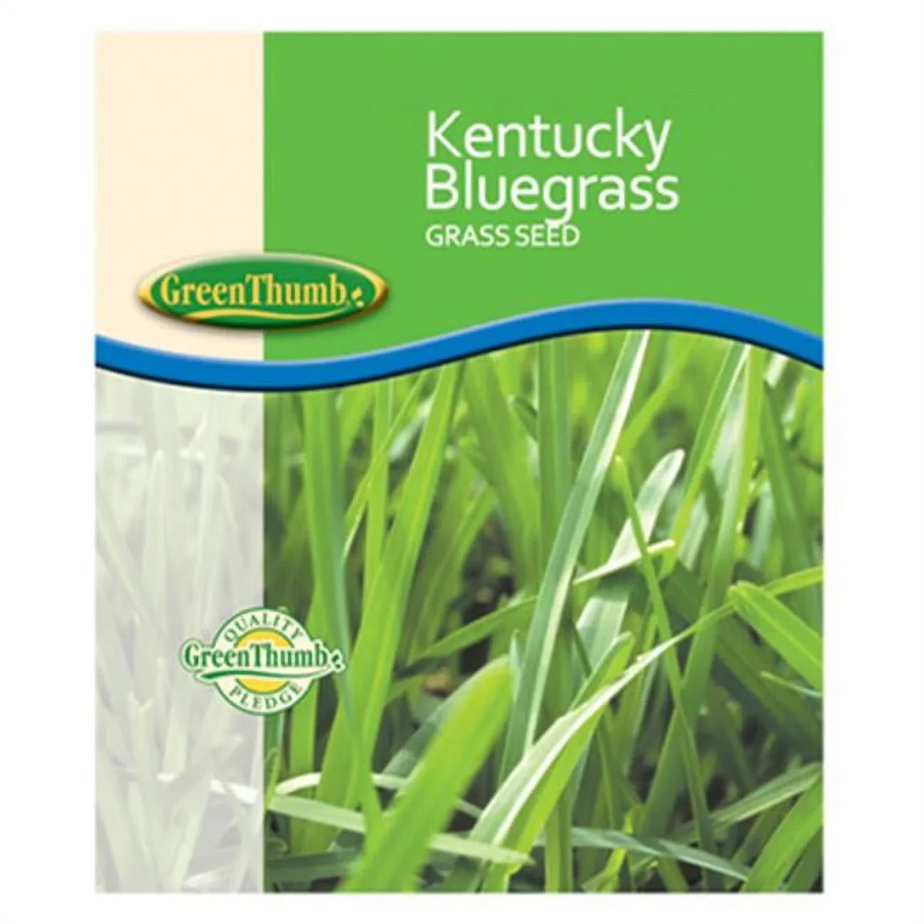 Seed Bluegrass Barenbrug Kentucky 50 491123 lbs.