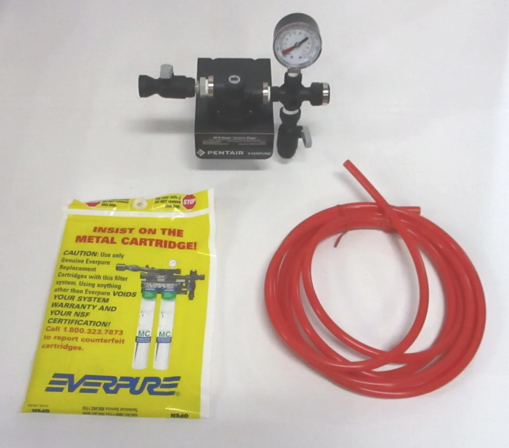 Single Head Everpure Filter Assembly,3/8",FNPT EV927241-75
