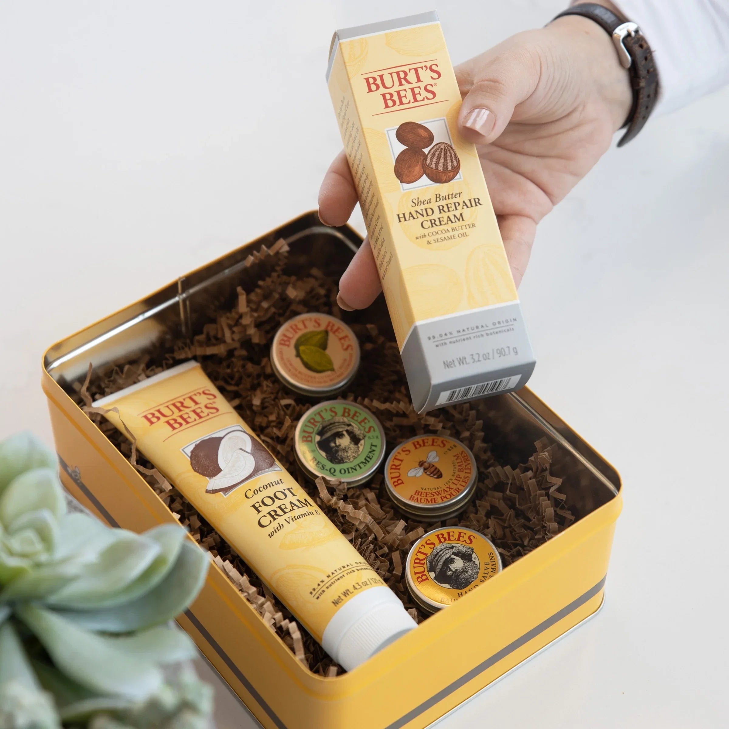 Lip in Res-Q Hand Cream, Giftable Balm, Set, Cream Gift Hand Tin and Products Ointment, Burt's 6 Classics Foot Salve, Repair Cuticle Bees Cream