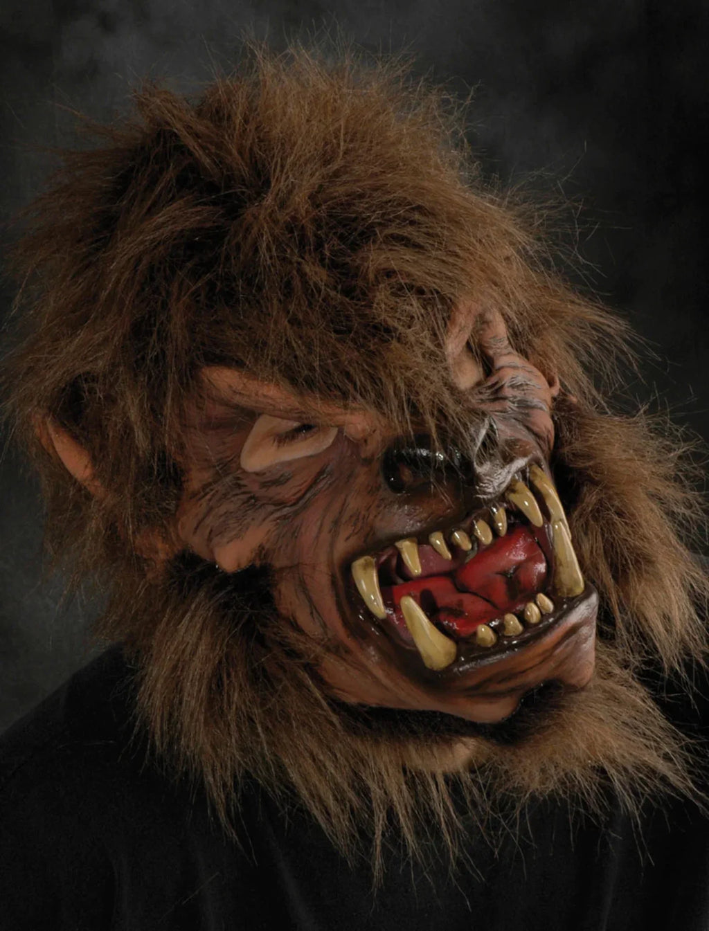 Shined Zagone Mask Moon Studios M1021