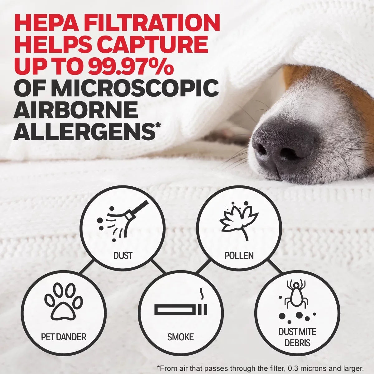 Value HRFARVP, Replacement Pack Purifier Filter, Filter, HEPA Air Honeywell