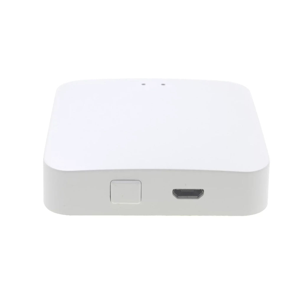 Compatible GoolRC Gateway,Hub Lanru Voice Remote Compatible Smart With Iuppa Remote Voice Havou Adben Voice 3.0 Dsfen