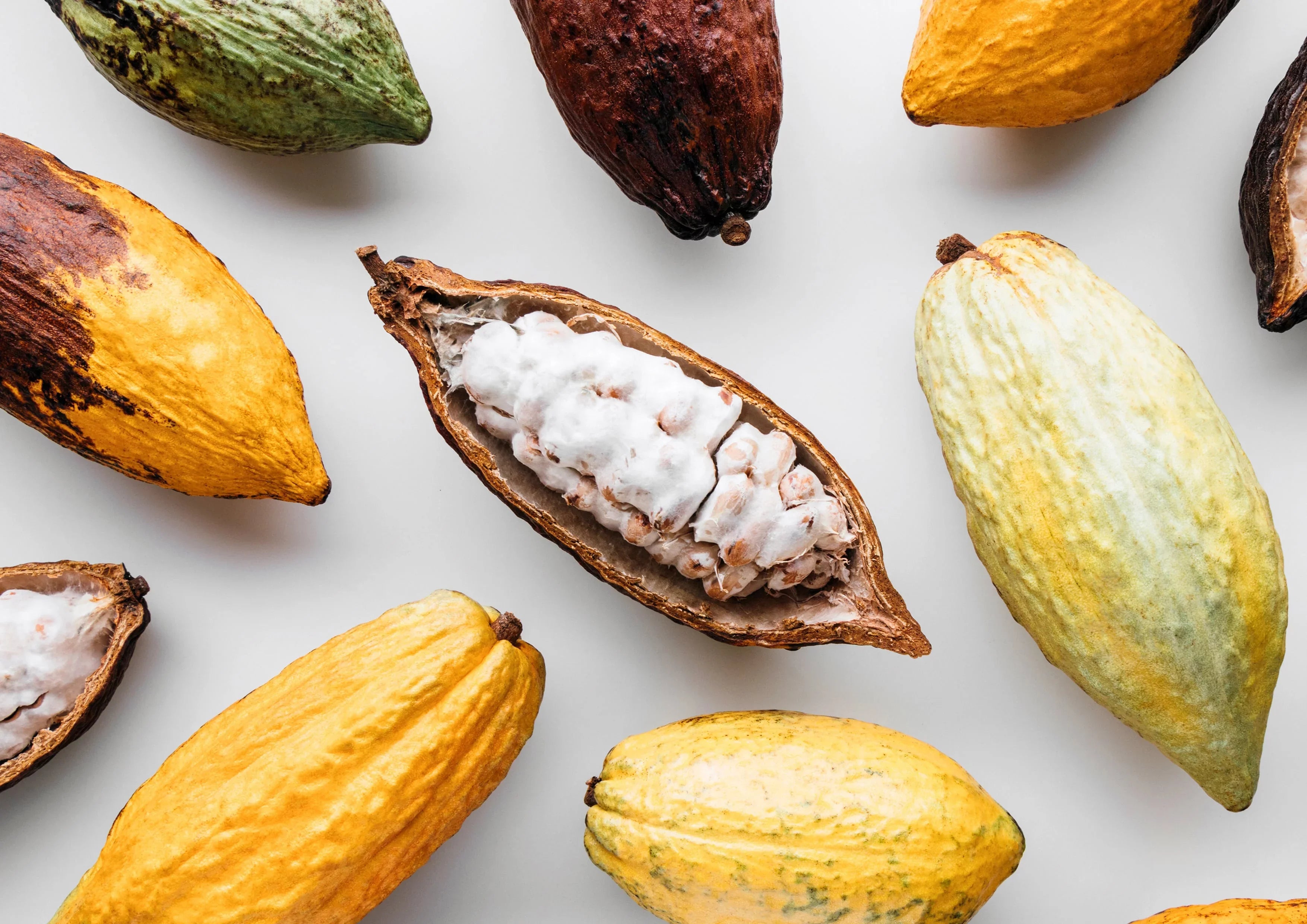Raw, to Paste, Food Live Kosher, Pounds — Vegan 14 Non-GMO, Organic — Cacao by