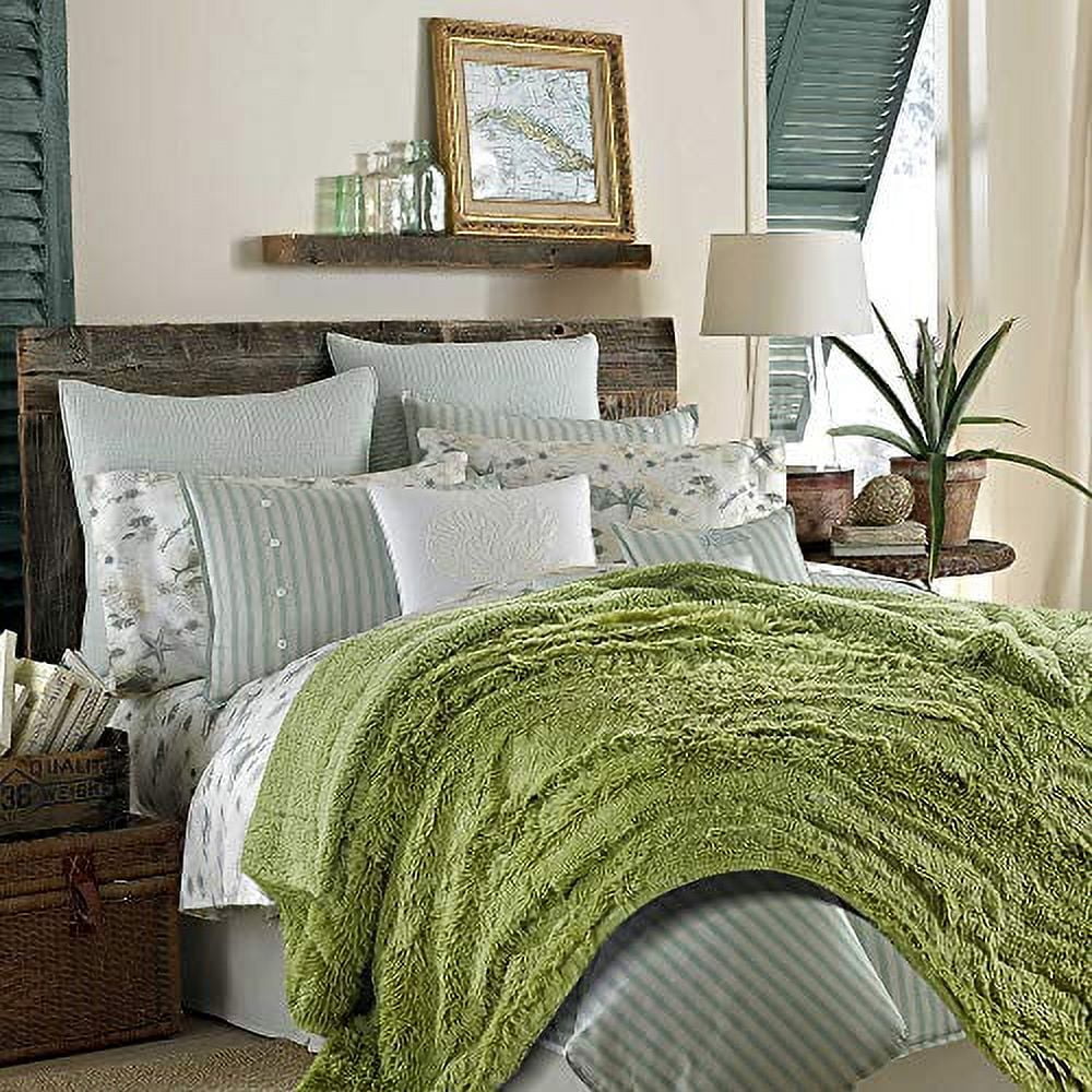 Cozy For 65" Soft Chanasya Photo Elegant Sherpa "x Longfur - Green Bed Chair Props 50 Blanket | Fur Warm Microfiber Fuzzy Super Lightweight Fleece Faux Shaggy Blanket | - Snuggly Plush Throw Couch