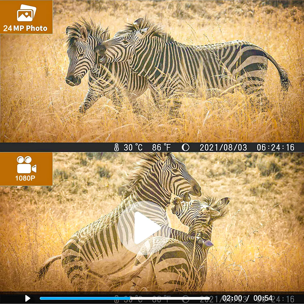 Card Night Hunting TF Trail with IR LED 36MP Hunting Wildlife Wildgame 4K Monitors 32GB HC-812A Trail Vision Camera SuntekCam Trail with Monitor Waterproof Camera