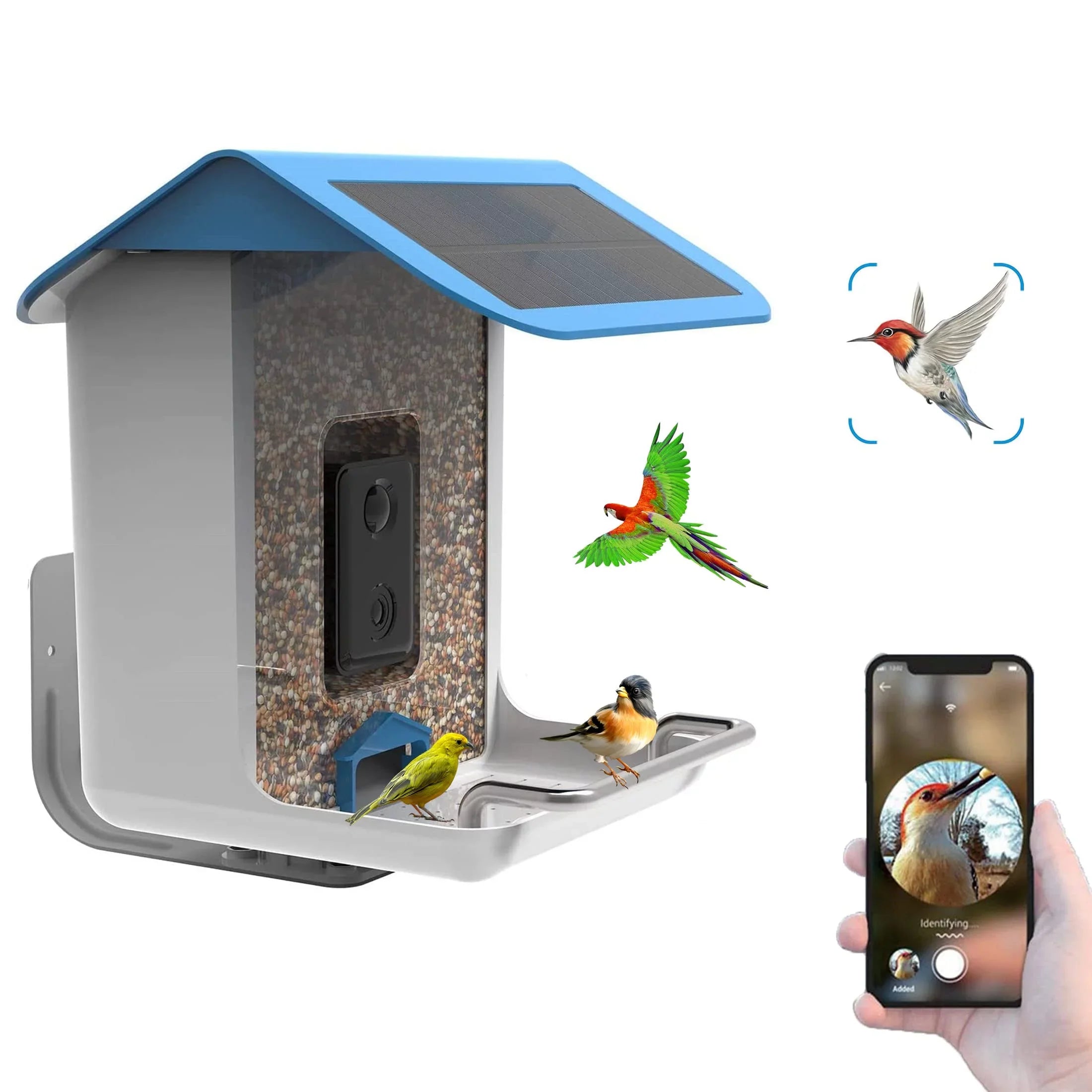 & Detected, Videos Control Capture Bird & Gift with Notify Lover Adrinfly Bird Panel, Birds AI Wireless App Auto Camera, Bird HD Camera Bird Species, Solar When Bird Feeder Feeders Smart Identify