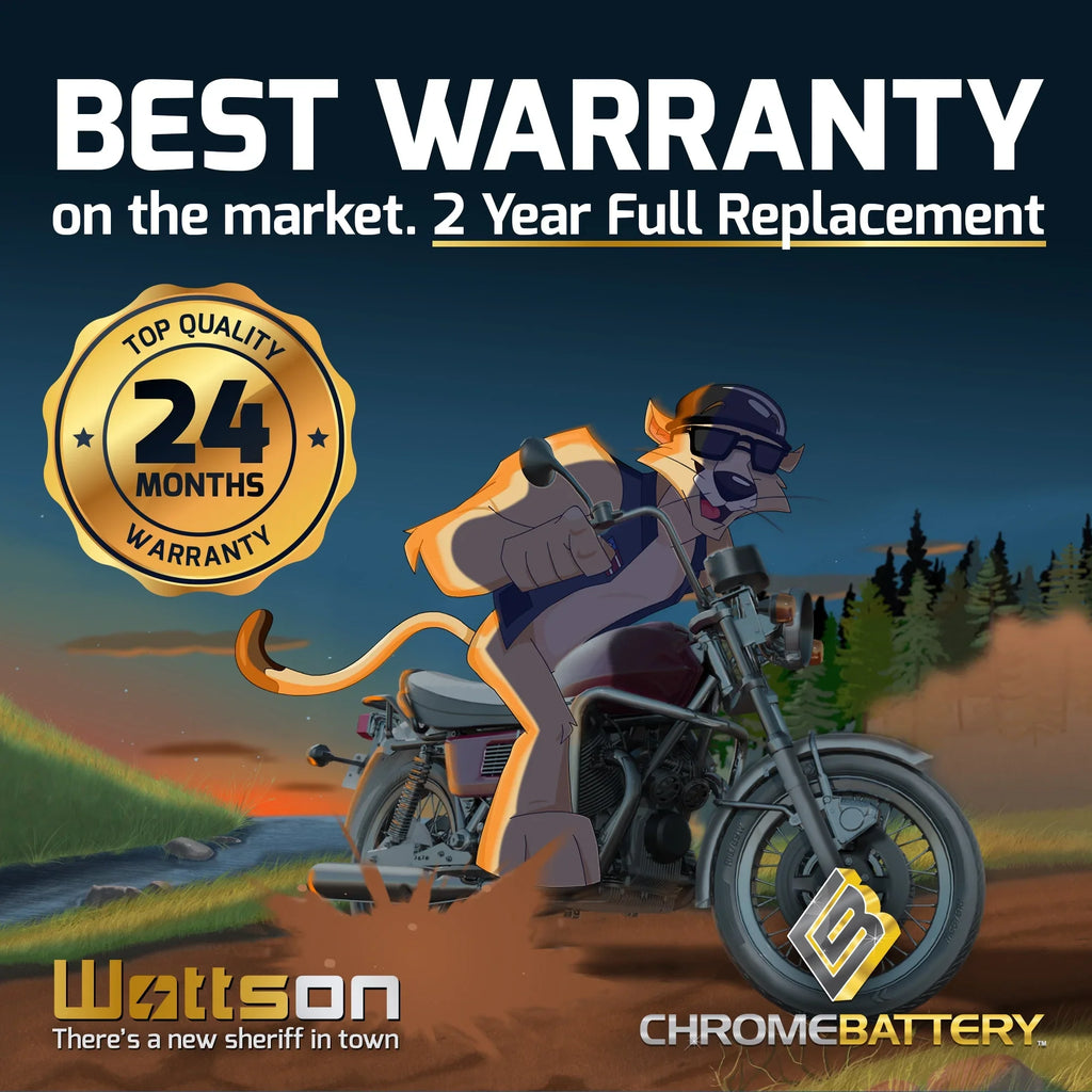 1987 210 CCA) Motorcycle Ah, Suzuki Chrome Gsx-r1100 1100cc 12 Battery for YTX14AHL-BS Volt,12 (14AHL-BS Battery