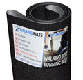 1oz Treadmill + Free Sand Running Lube 1650 Belt Blast C NordicTrack NETL197160