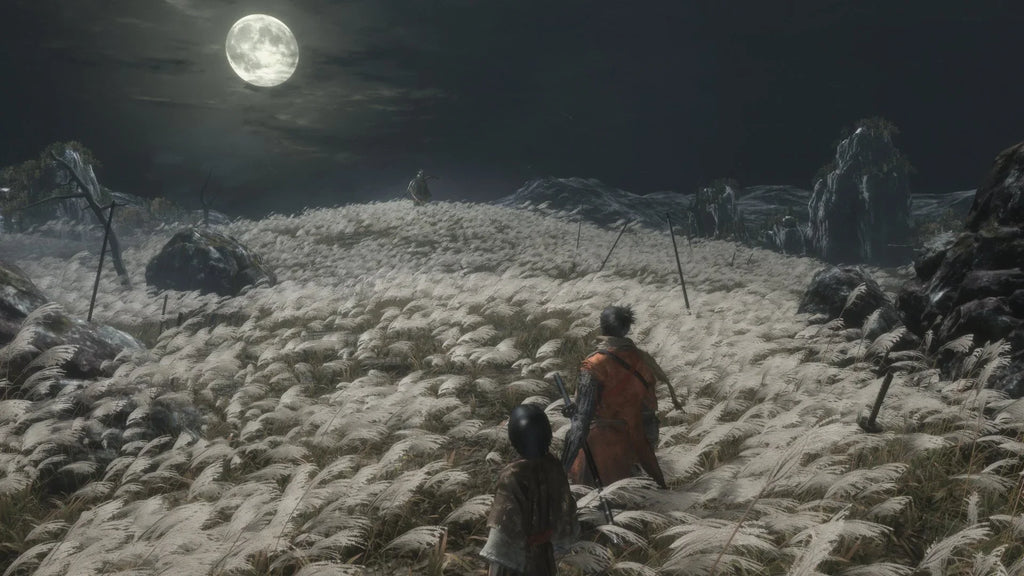 Sekiro - Die PlayStation 4 Twice Shadows