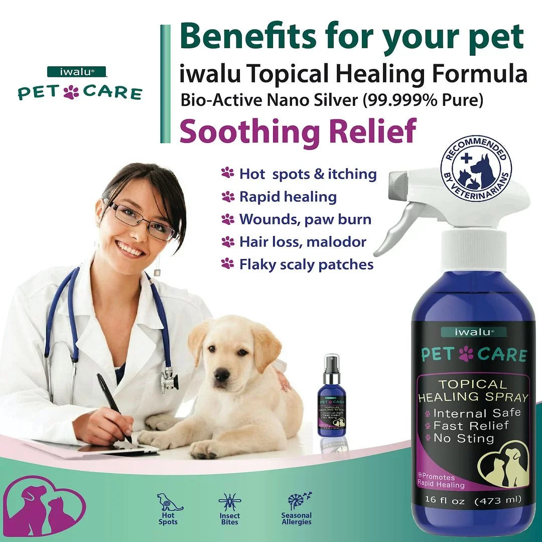 Itchy Relief Spray Anti Relief For And Spot Itch Anti Pet Wound Skin Skin Best Dog Hot Dry Soother Moisturizer Skin Coat Dog Cat Treatment Supplement Allergy Care For Paw Dog Cleaner (16oz) Medication