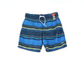 Speedo in Line Blue Border Performance Men's Green-XL E-Boardshorts 20"