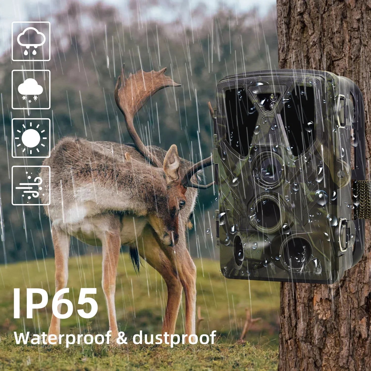 Card Night Hunting TF Trail with IR LED 36MP Hunting Wildlife Wildgame 4K Monitors 32GB HC-812A Trail Vision Camera SuntekCam Trail with Monitor Waterproof Camera
