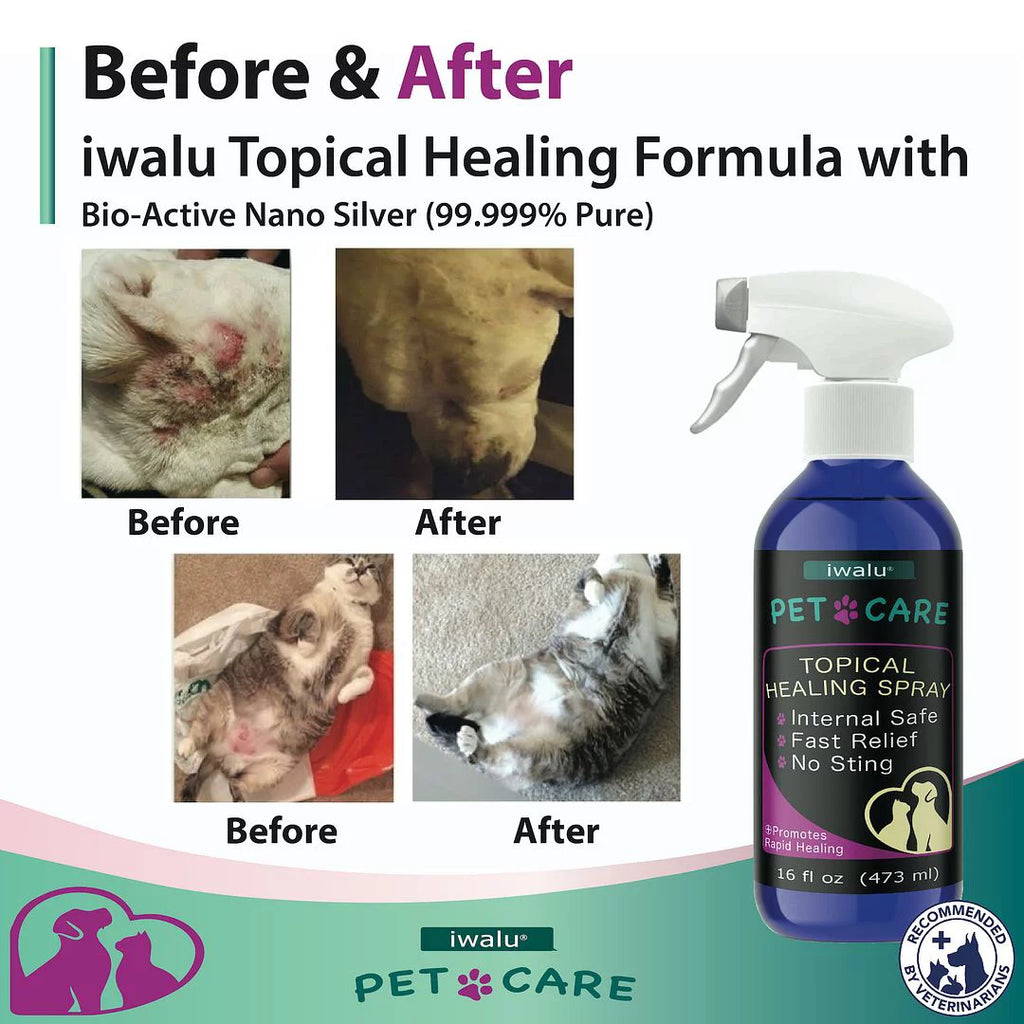 Itchy Relief Spray Anti Relief For And Spot Itch Anti Pet Wound Skin Skin Best Dog Hot Dry Soother Moisturizer Skin Coat Dog Cat Treatment Supplement Allergy Care For Paw Dog Cleaner (16oz) Medication