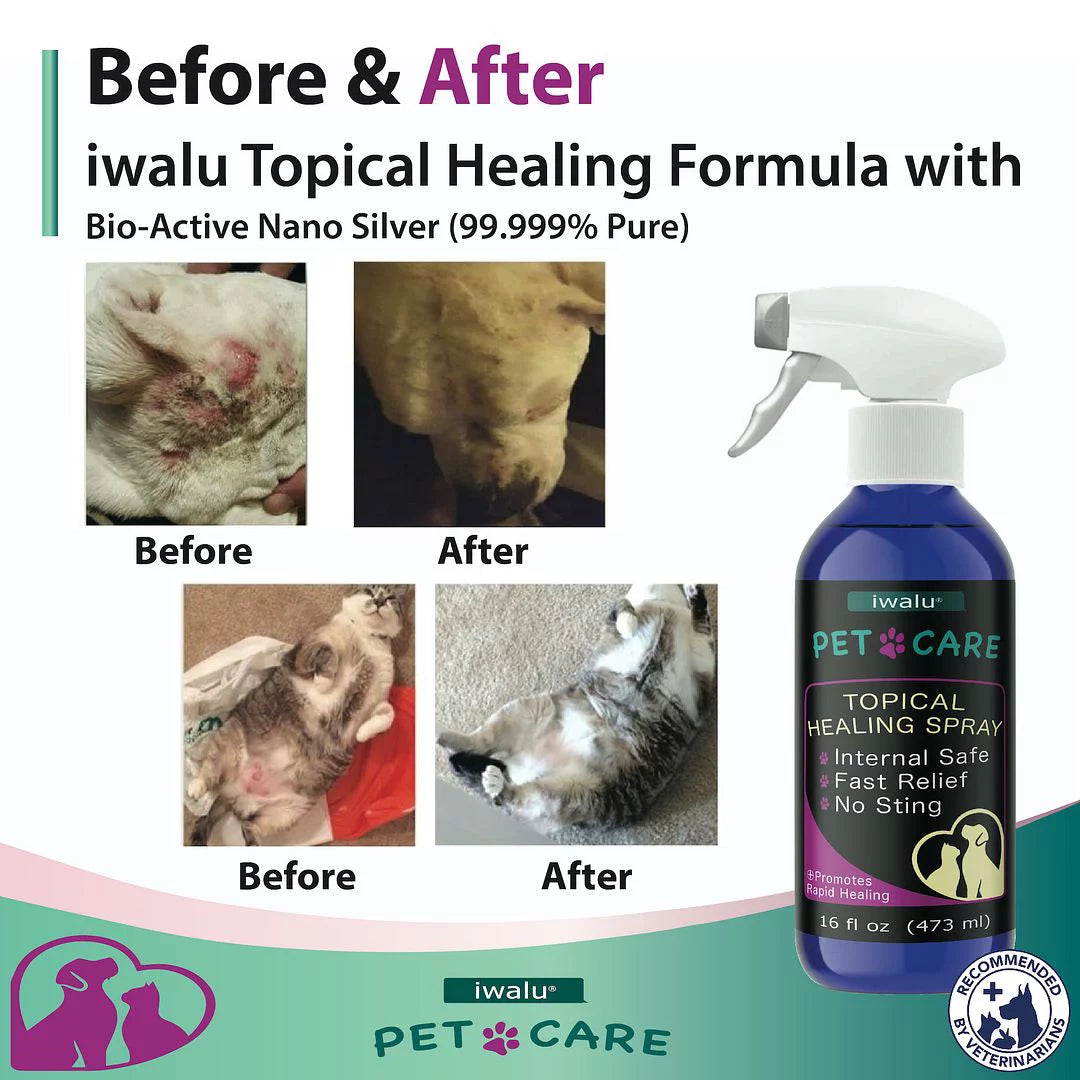 Itchy Relief Spray Anti Relief For And Spot Itch Anti Pet Wound Skin Skin Best Dog Hot Dry Soother Moisturizer Skin Coat Dog Cat Treatment Supplement Allergy Care For Paw Dog Cleaner (16oz) Medication