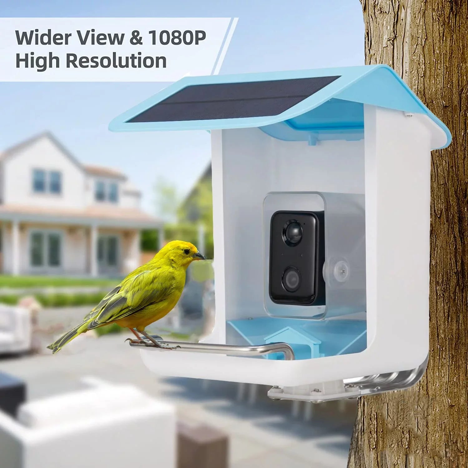 & Detected, Videos Control Capture Bird & Gift with Notify Lover Adrinfly Bird Panel, Birds AI Wireless App Auto Camera, Bird HD Camera Bird Species, Solar When Bird Feeder Feeders Smart Identify