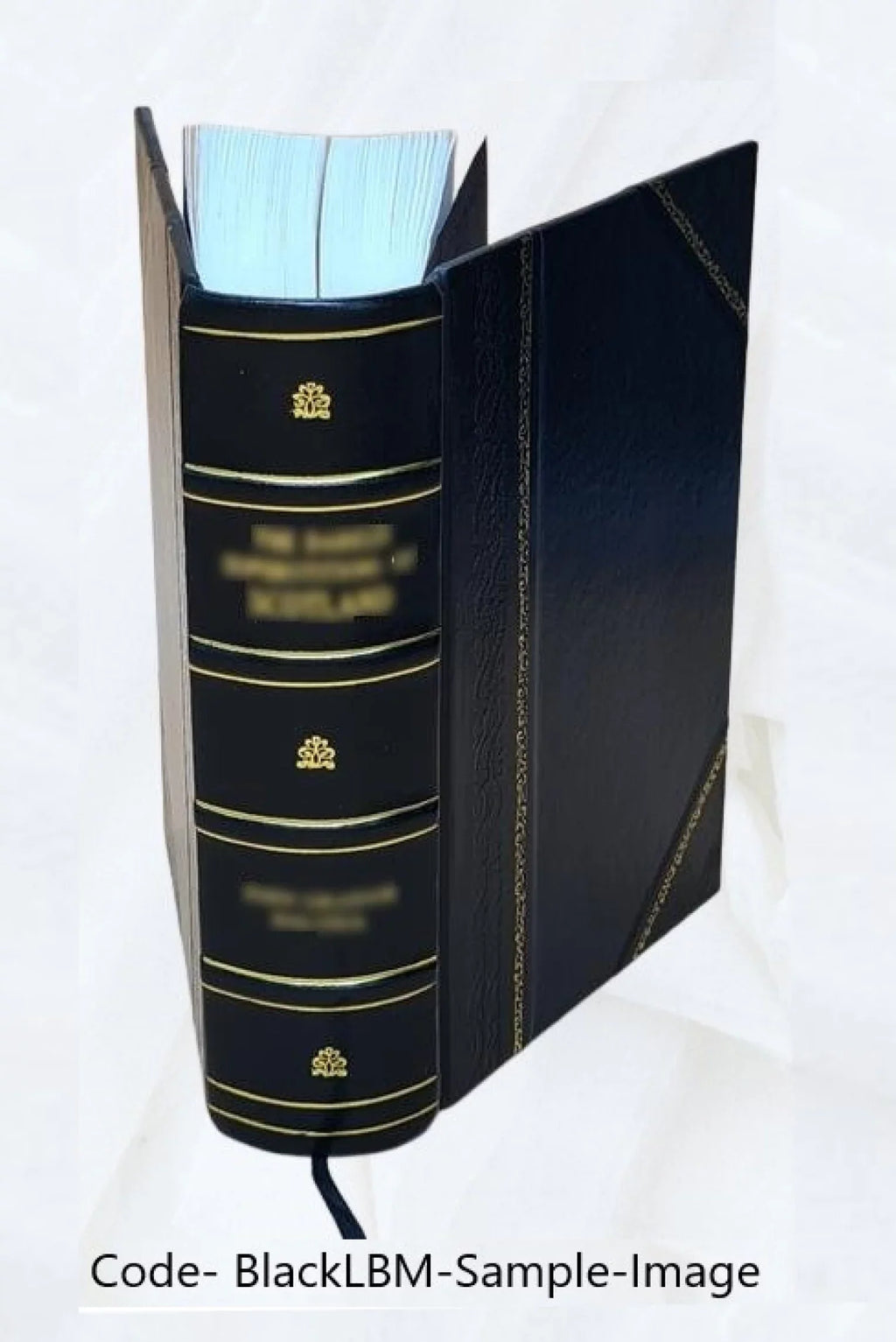 Savoie) Bound] 2 Révolution de Genève de (partie 1894 Volume Le pendant [Leather diocèse française la
