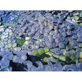 Large Image Site Basalt 26 - Unesco Columns Poster 34 with - Causeway Print World Irish by Heritage Area A x The Antrim Ireland Giants Designated Co Collection,
