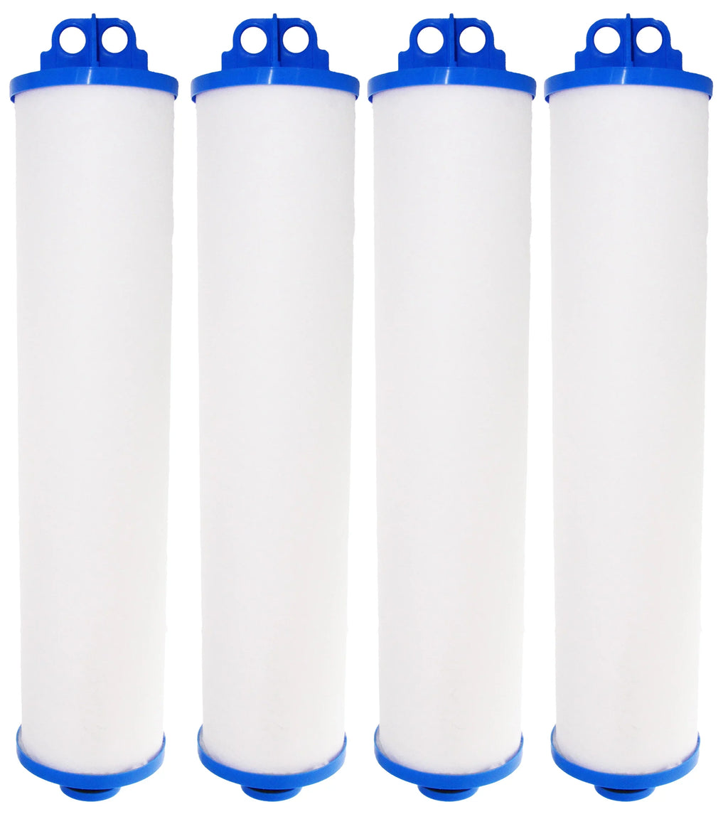 Big Watts (4 with Bubba Compatible Pleated BB150-PH50 BBH-150 Big Bubba BBC-150-P50 Cartridge Pack) Neo-Pure Filter housing Micron 50