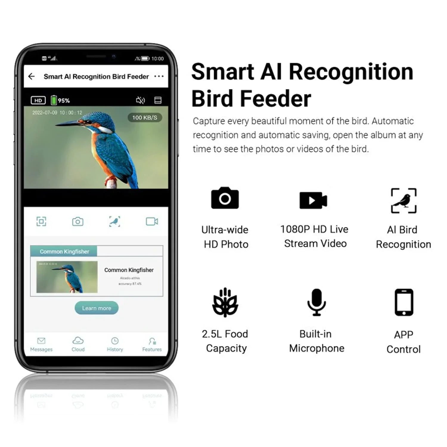 & Detected, Videos Control Capture Bird & Gift with Notify Lover Adrinfly Bird Panel, Birds AI Wireless App Auto Camera, Bird HD Camera Bird Species, Solar When Bird Feeder Feeders Smart Identify