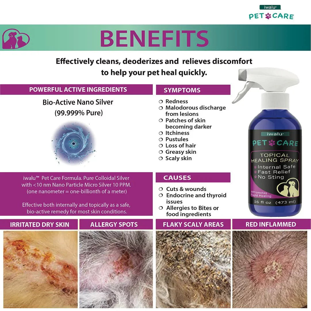 Itchy Relief Spray Anti Relief For And Spot Itch Anti Pet Wound Skin Skin Best Dog Hot Dry Soother Moisturizer Skin Coat Dog Cat Treatment Supplement Allergy Care For Paw Dog Cleaner (16oz) Medication