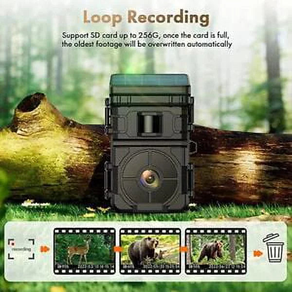24MP IP66 Solar Trail Wildlife Rechargeable Camera Hunting Game Night HD Vision