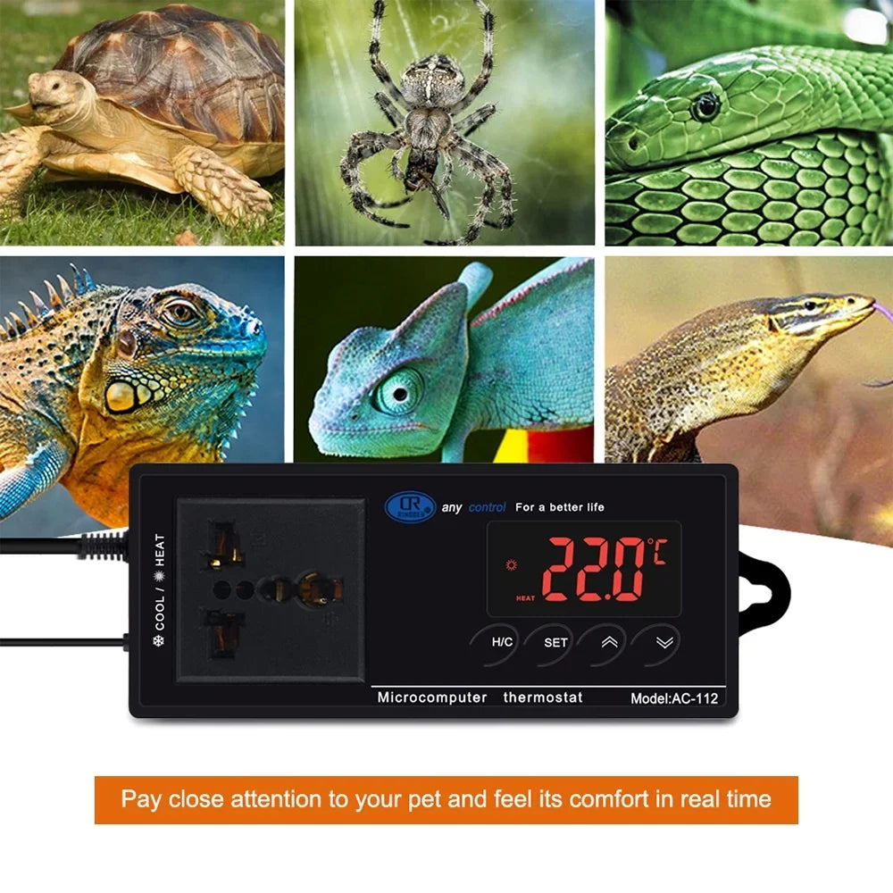 Home & Cooling Brewing Heating Freezer Green Mode Thermostat Incubation Reptiles Outlet Reptile Temperature House Controlled for Lepmerk Thermostat Chest with -40℃~110℃ Controller Digital Plug