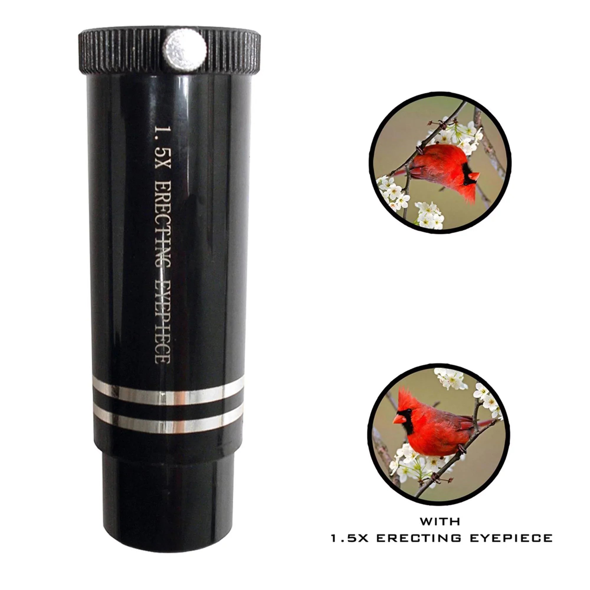 Galileo Filter, 80mm Telescope 800mm Solar w/ White, Reflector x
