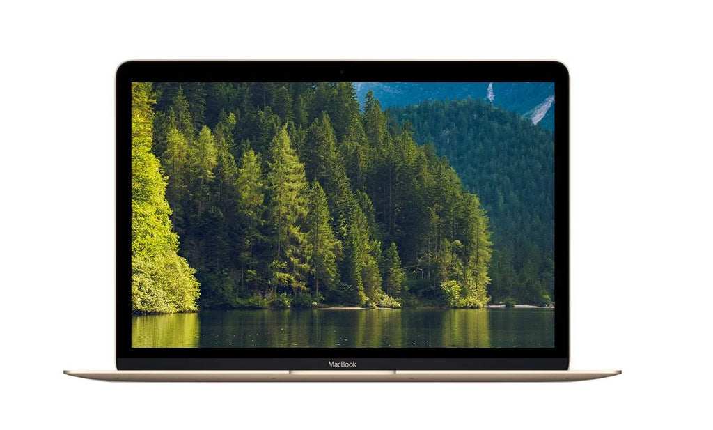 256GB  12-inch 1.2GHz 2304x1440 Power SSD 8GB MNYK2LL/A (Retina, 2017) Adatper Grade (Mid m3 Gold) Display Memory  Included A Mac OS Core