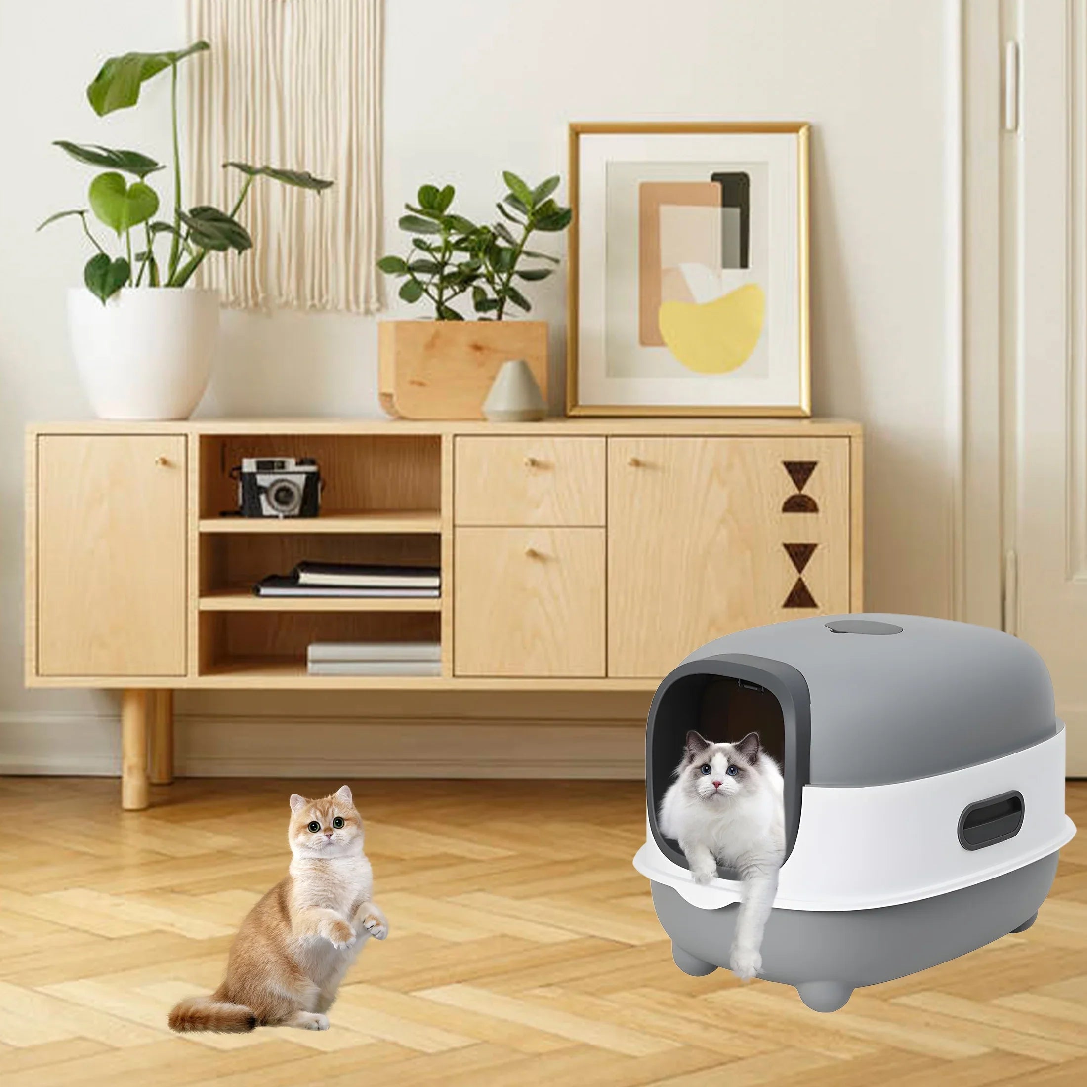 Litter Litter Cat Control,Jumbo Enclosed Hooded,Gray,Door EOIVSH Smelly Box,Pets Cat Large Isolate Boxes,Odor